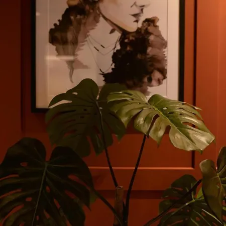 شقة فندقية Again Kirkegata 3*